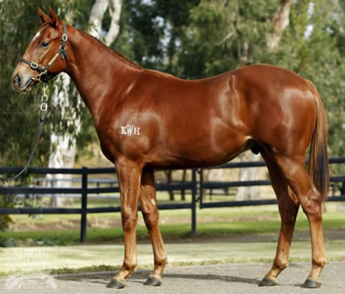 Winner's Way was a $55,000 MM National Yearling Sale purchase