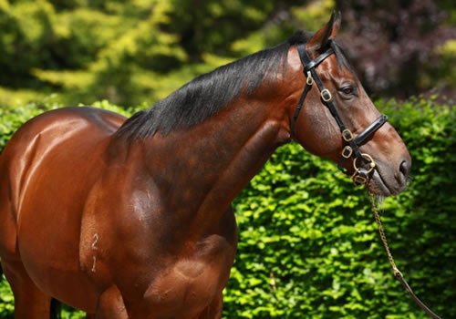Fastnet Rock is the sire of Tides