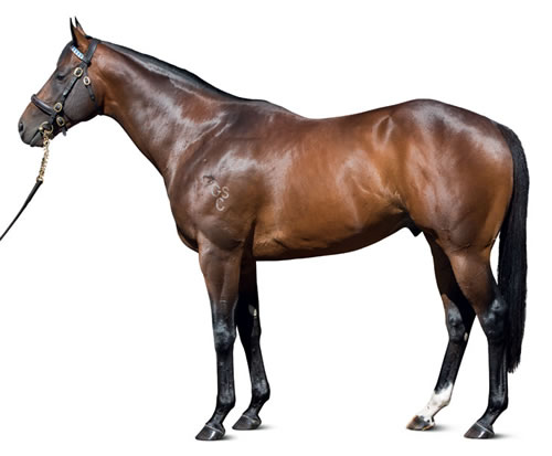 Hallowed Crown is the sire of Tisane